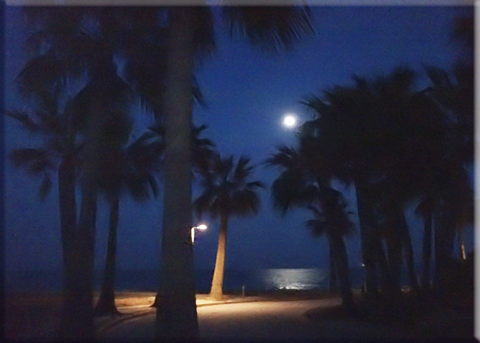 Vista de la playa de Marina d´Or de noche